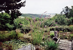 Natursteinarbeiten, Pflaster