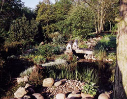Garten- und Landschaftsbau